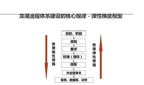 龍湖集團 以精細(xì)化管理鍛造企業(yè)標(biāo)桿的運營之道
