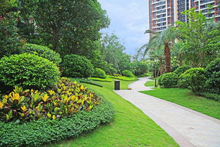 鐵漢工匠丨園林工程質量通病 綠化篇之六 大規格苗木在吊裝或運輸時受損