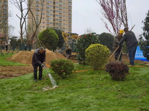 南陽市宛城區春季園林綠化提升工作成效顯著展現綠化工程新氣象