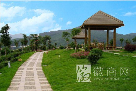 綠意盎然 安徽開源園林綠化工程的發展與實踐