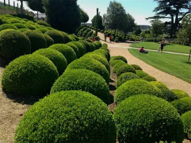 【傾聽】目前國內園林綠化市場的需求和聲音